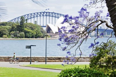 Pemandangan Jacaranda - Royal Botanic Garden Sydney – SOH