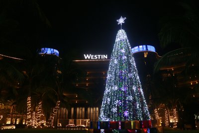 蓝湾绿城威斯汀度假酒店圣诞点灯仪式