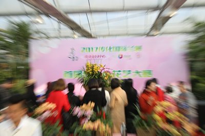 首日参观人数破万 火爆花卉市场推热2017传化国际兰展