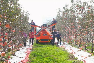 Uni-orange Launches Small-sized Orchard Operation Platform