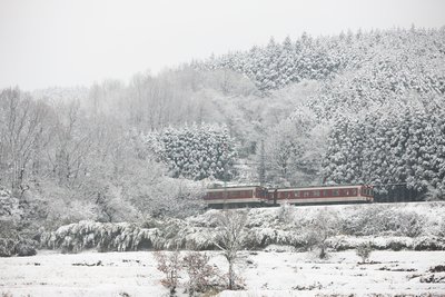 近鐵公司推出預(yù)購車票服務(wù) 讓旅客提早規(guī)劃紅葉季行程