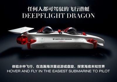展会现场观光型载人潜水器DEEPFLIGHT DRAGON的海报