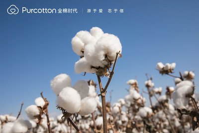 全棉时代天然棉
