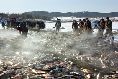 ตกปลาหน้าหนาวที่ทะเลสาบจิงโป