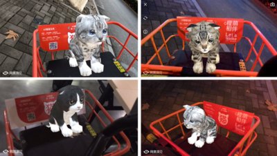 全城AR云撸猫，网易洞见联合摩拜首次跨界合作