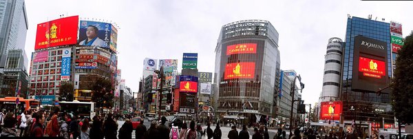 金龍魚が東京・渋谷交差点を見下ろす大型デジタル広告スクリーンで販売促進キャンペーン