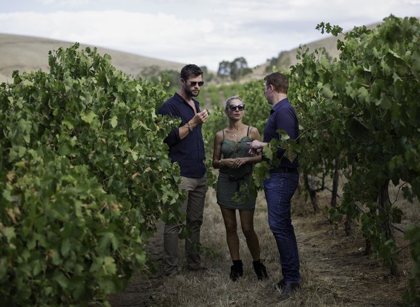 Chris Hemsworth and Elsa Pataky with Jacob’s Creek Double Barrel Chief Winemaker Ben Bryant in the newly named Hemsworth Block. Photo credit: Cristian Prieto