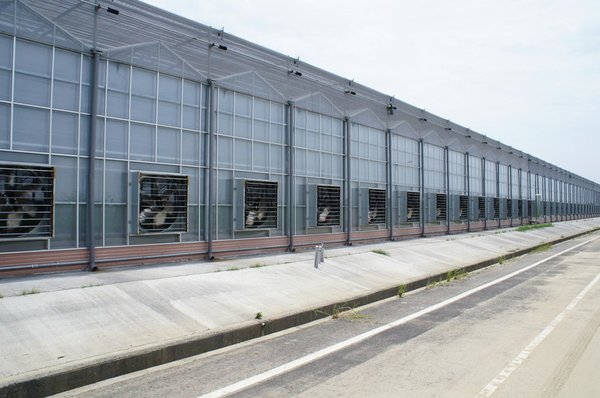 Hua Wang Ltd. produced an advanced greenhouse built with steel structure and equipped with automatic environmental control systems to help farmers increase productivity.