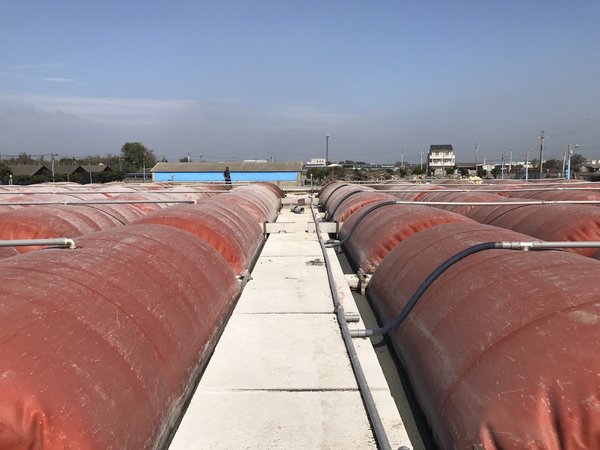 A biogas technology pavilion is planned to meet Asia-pacific country’s renewable energy policy. The picture shows biogas storage tanks for gas digester. (Provided by Industrial Technology Research Institute)