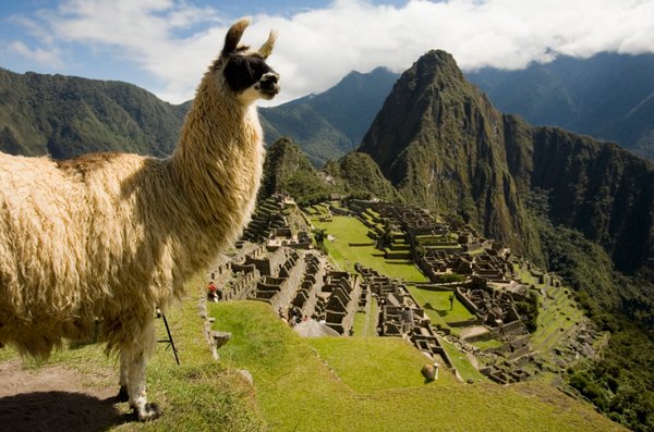 秘鲁出口暨观光局与Create Consulting合作开拓中国旅游业务