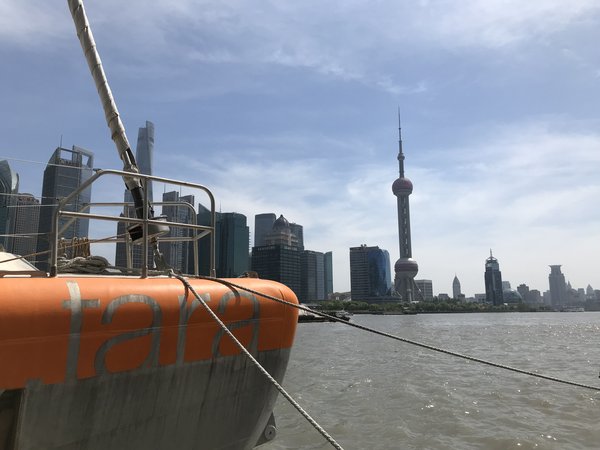 科考帆船Tara号在上海