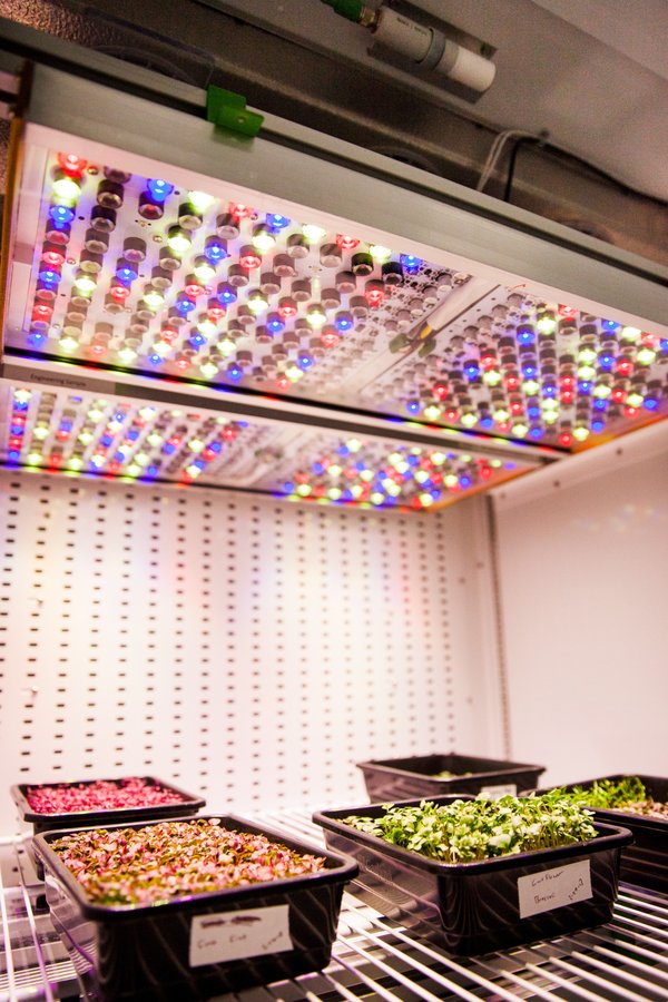 The smart lighting software Phytofy RL, coupled with a unique setup of connected grow light fixtures, will supplement the lighting technology used in NASA’s Food Production. Picture: Osram