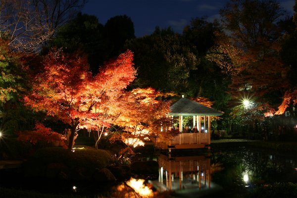 Ogikubo’s popular Japanese garden Otaguro Park (C)Chuosen Aruaru Project