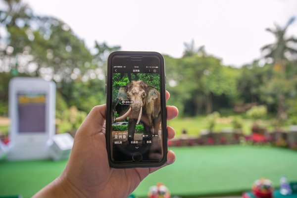 “AR相机”功能可以实现人跟动物的多种趣味互动。
