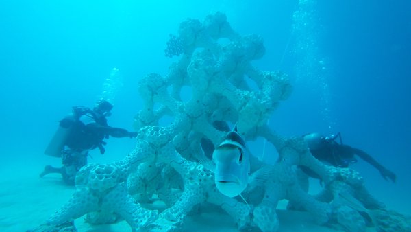 World's Largest 3-D Printed Reef