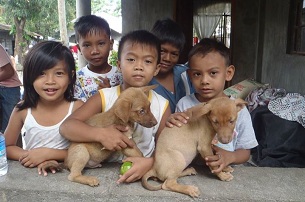 世界狂犬病日：全球每天約160人因狂犬病致死 | 美通社