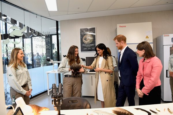 Harry and Meghan - Industry of Science and Learning laboratories - echidna