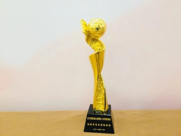 德力西电气获2018年社会责任大会年度优秀品牌奖