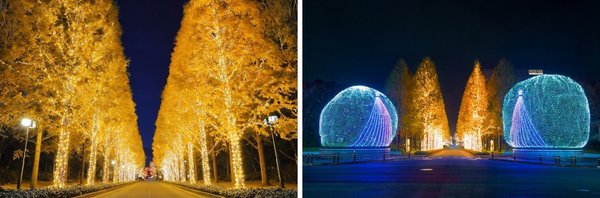 罗姆：独特LED技术打造京都最大规模灯光盛宴