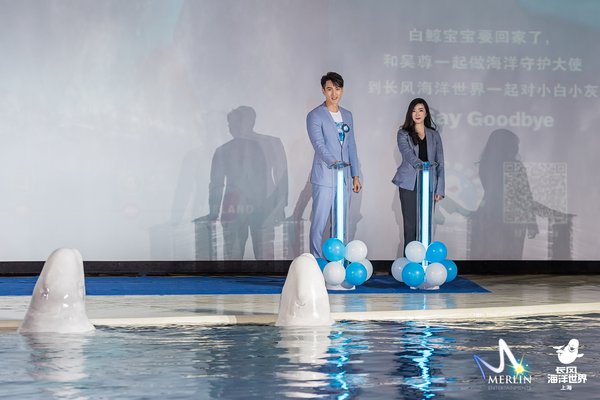 默林娱乐集团中国区总经理张琪女士和“默林中国海洋守护大使”吴尊先生共同启动“小白鲸九千公里的回家之旅”