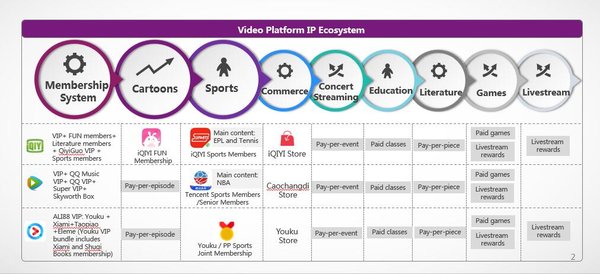 Video Platform IP Ecosystem