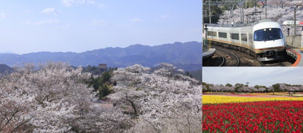 The best way to take in the beauty of Japan's cherry blossom season is at secluded locations easily reachable by rail