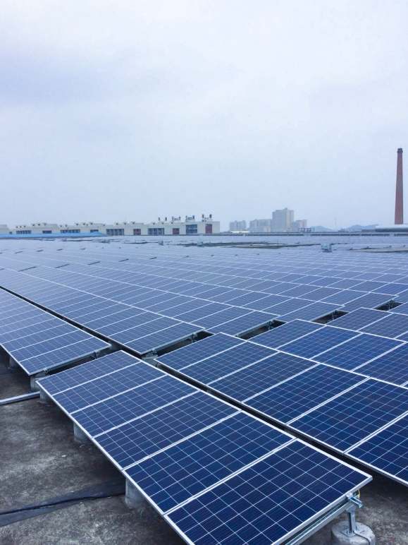 ACC Continues Cooperation with Wahaha, Rolling Out 4th Solar Project