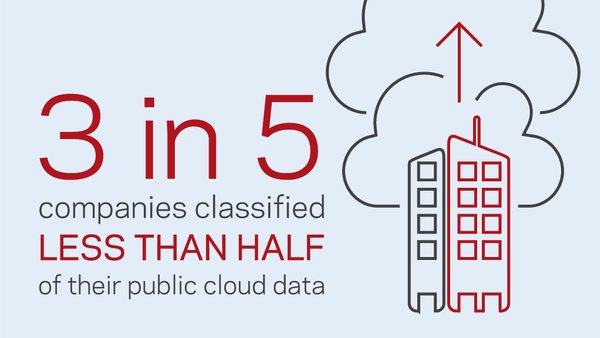 3 in 5 companies classified less than half of their public cloud data