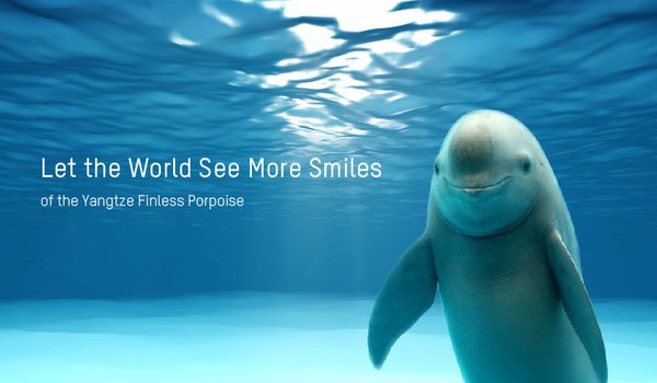 angtze Finless Porpoise Banner - Copyright (C) WWF / Liu Jieyun