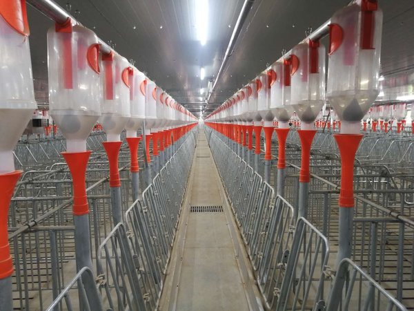 新希望六和河北年出栏15万头商品猪项目竣工