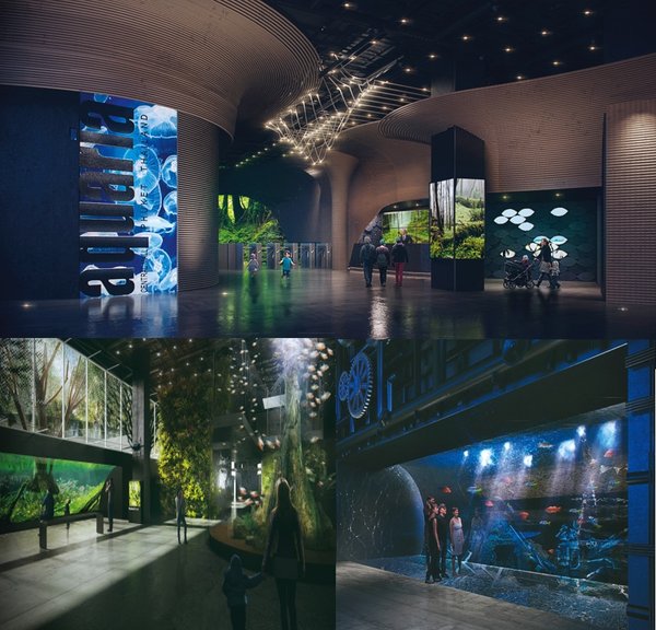 尚泰普吉全新水族馆暑期开放 将展示近25000种河海生物奇观奥秘