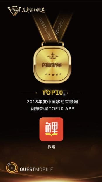 QuestMobile《2018年度中国移动互联网闪耀新星TOP 10 APP》