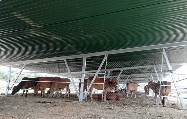 A rooftop PV plant located in Khanh Hoa using Huawei smart string inverters