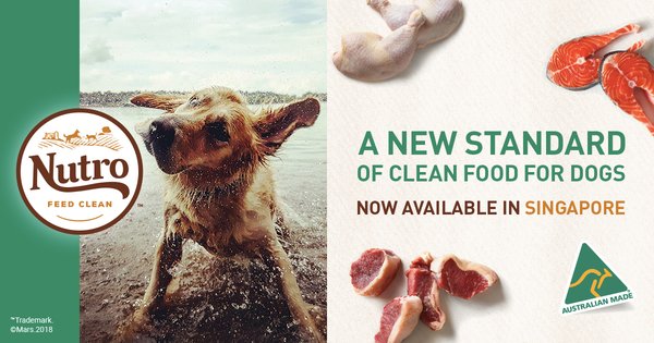 NUTRO(TM) Singapore Introduces the Best Way to Feed Dogs Clean Food