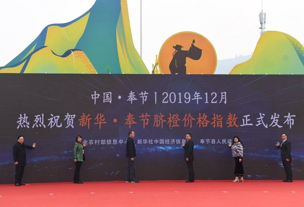 Xinhua Silk Road: Indeks Harga Oren Navel Xinhua-Fengjie dikeluarkan di Chongqing Barat Daya China