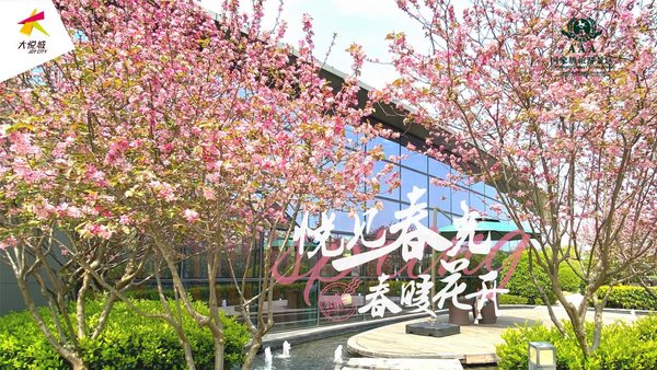 景區(qū)購物公園再升級 成都大悅城喚醒城市新活力