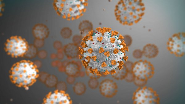 拓展SARS-CoV-2测试能力 西门子医疗推出全新总抗体检测试剂 | 美通社