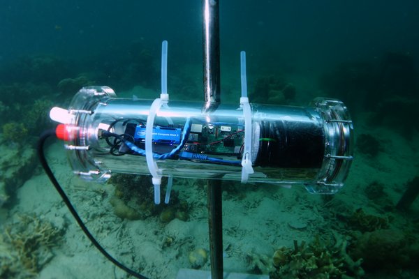 智能水下摄像机可对海洋生物进行计数、拍摄和分类，从而帮助埃森哲、英特尔以及Sulubaai环境基金会以数据为依据进行决策，更好地修复菲律宾班加塔兰岛周围的珊瑚礁。