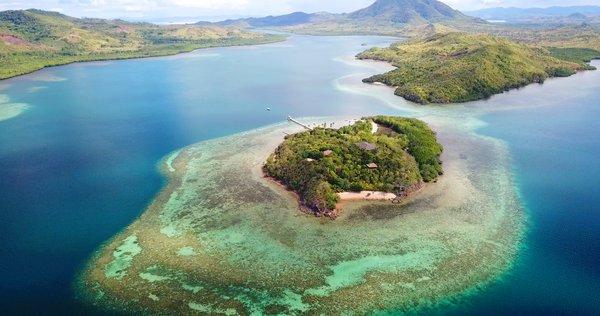 埃森哲，英特尔和Sulubaai环境基金会利用人工智能修复珊瑚礁。