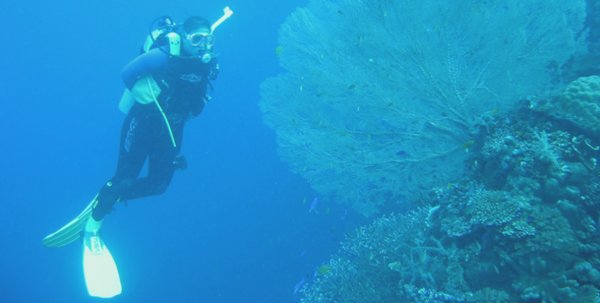 加拿大海馬專家榮獲世界著名動物保護(hù)獎 | 美通社