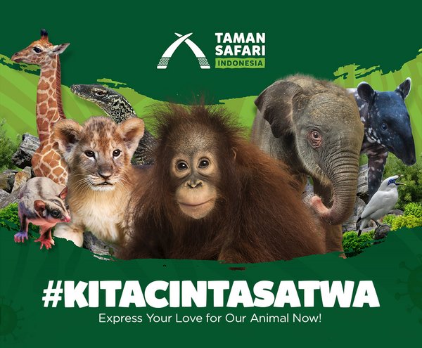 #kitacintasatwa, Taman Safari Indonesia Ajak Masyarakat Bantu Satwa