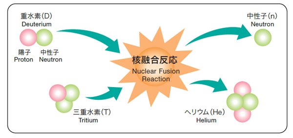 Figure. Mechanism of fusion