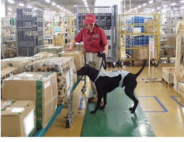 Chó nghiệp vụ được đào tạo để phát hiện hàng giao quốc tế qua đường bưu điện  Không được nhập khẩu các sản phẩm thịt, kể cả qua bưu điện