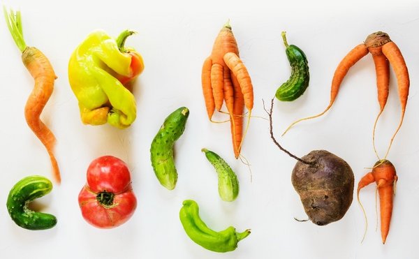 陶朗食品发布蔬菜行业白皮书，聚焦蔬菜生产经营新思路