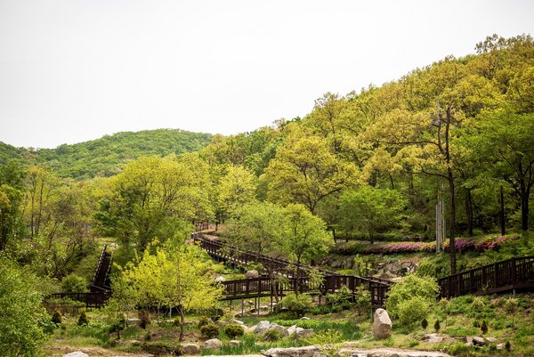 Seokmodo植物園