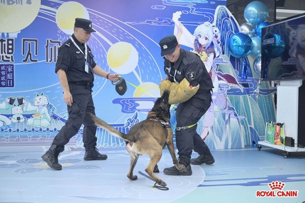 家特邀上海市松江警犬基地的警官和警犬带来精彩表演与知识分享