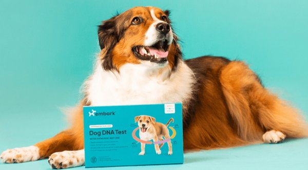 狗基因检测公司Embark Veterinary完成7500万美元B轮融资 | 美通社